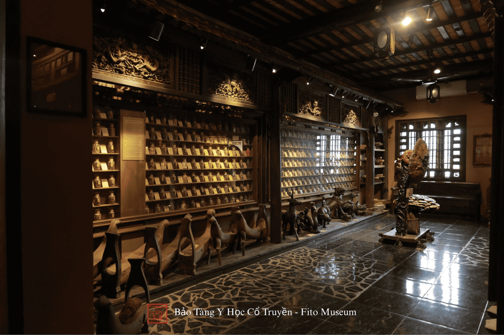 "Vietnam Ban Thao" showcases over 300 specimens of medicinal plants, animals, and minerals used in traditional remedies (Source: Bảo Tàng Y Học Cổ Truyền - Fito Museum)